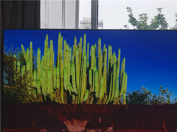 绵阳豪门国际官网沐日旅行社2025年澳洲暨秋季线路品鉴会