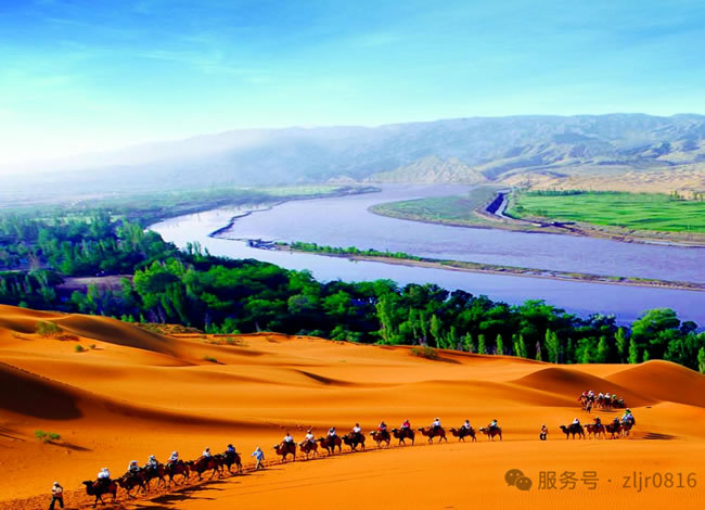 胡杨恋歌—中卫+银川+额济纳旗专列8日游_其它_豪门国际官网